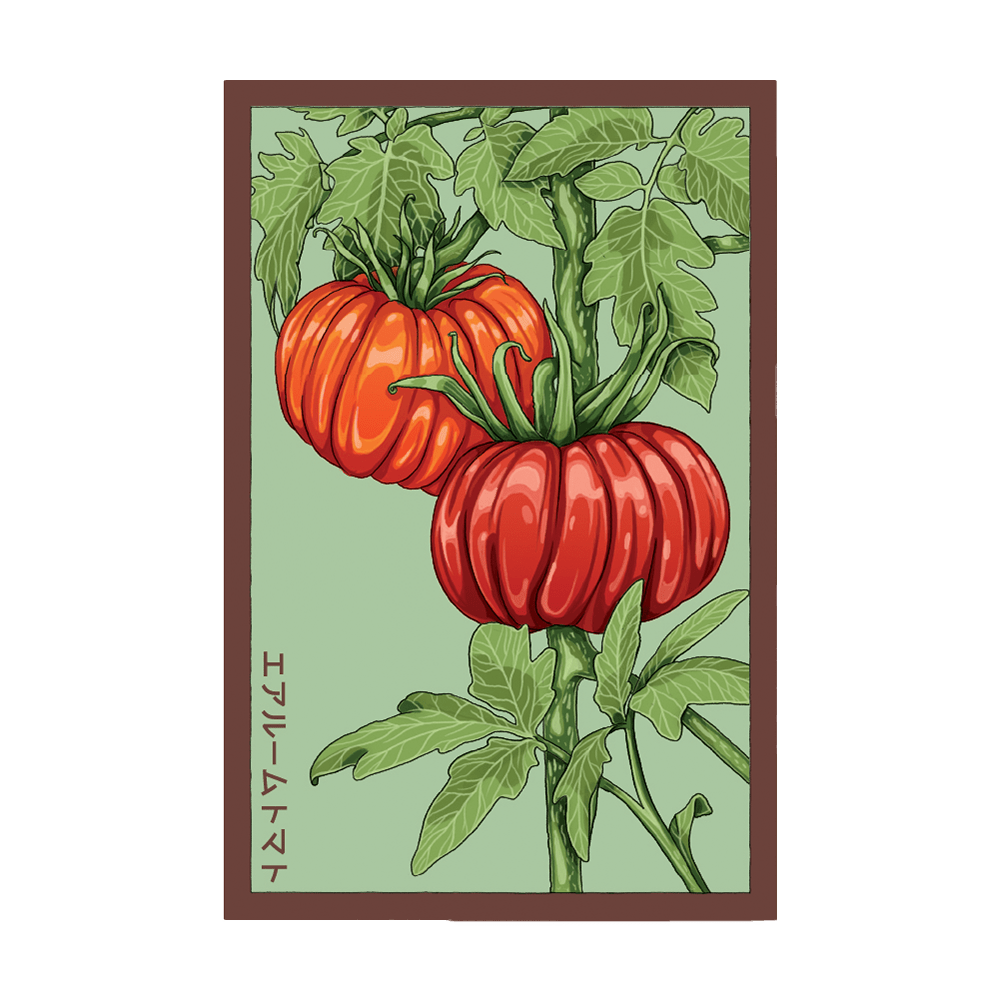 Heirloom Tomato Vegetable Seeds Packet - Chive UK Wholesale