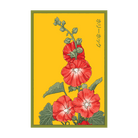 Hollyhock Flower Seeds Packet - Chive UK Wholesale