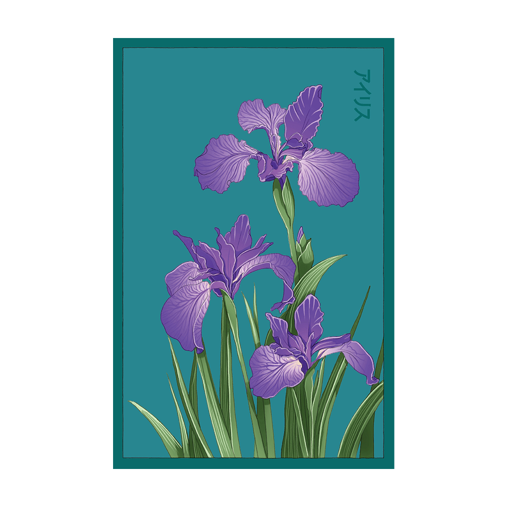 Iris Flower Seeds Packet - Chive UK Wholesale