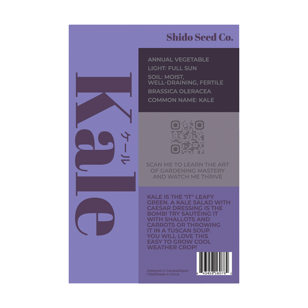 Kale Vegetable Seeds Packet - Chive UK Wholesale