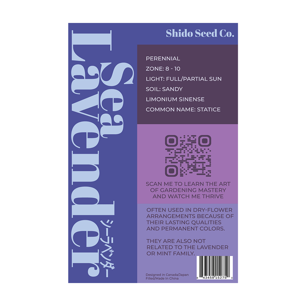 Sea Lavender Flower Seeds Packet - Chive UK Wholesale