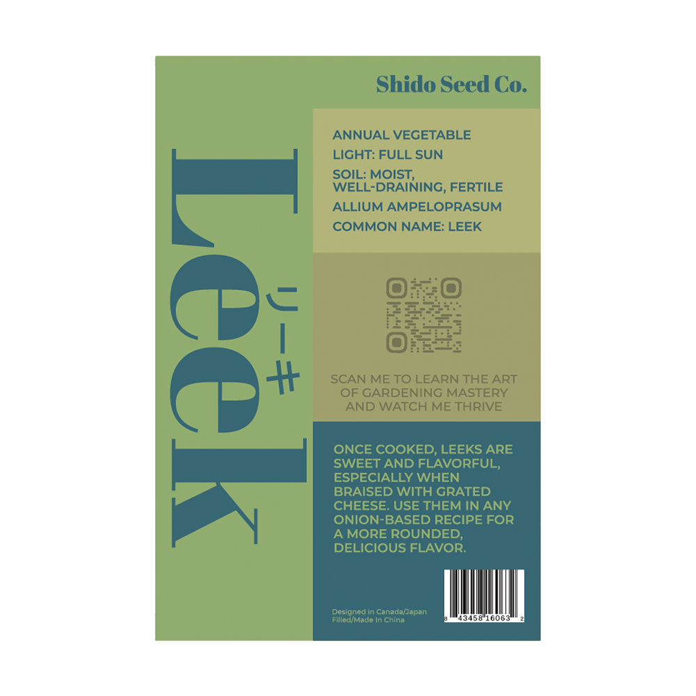 Leek Vegetable Seeds Packet - Chive UK Wholesale