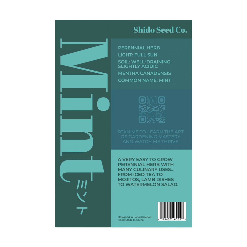 Mint Herb Seeds Packet - Chive UK Wholesale