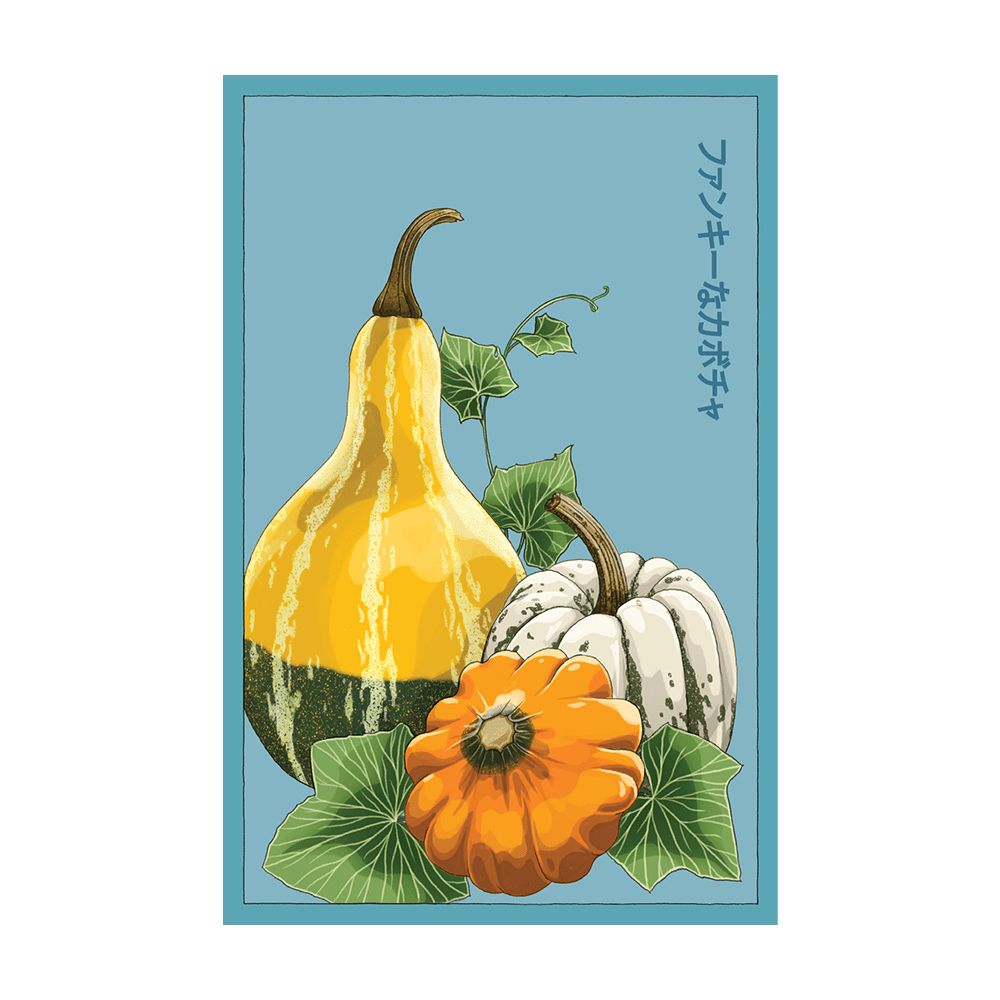 Funky Squash Seeds Packet - Chive UK Wholesale