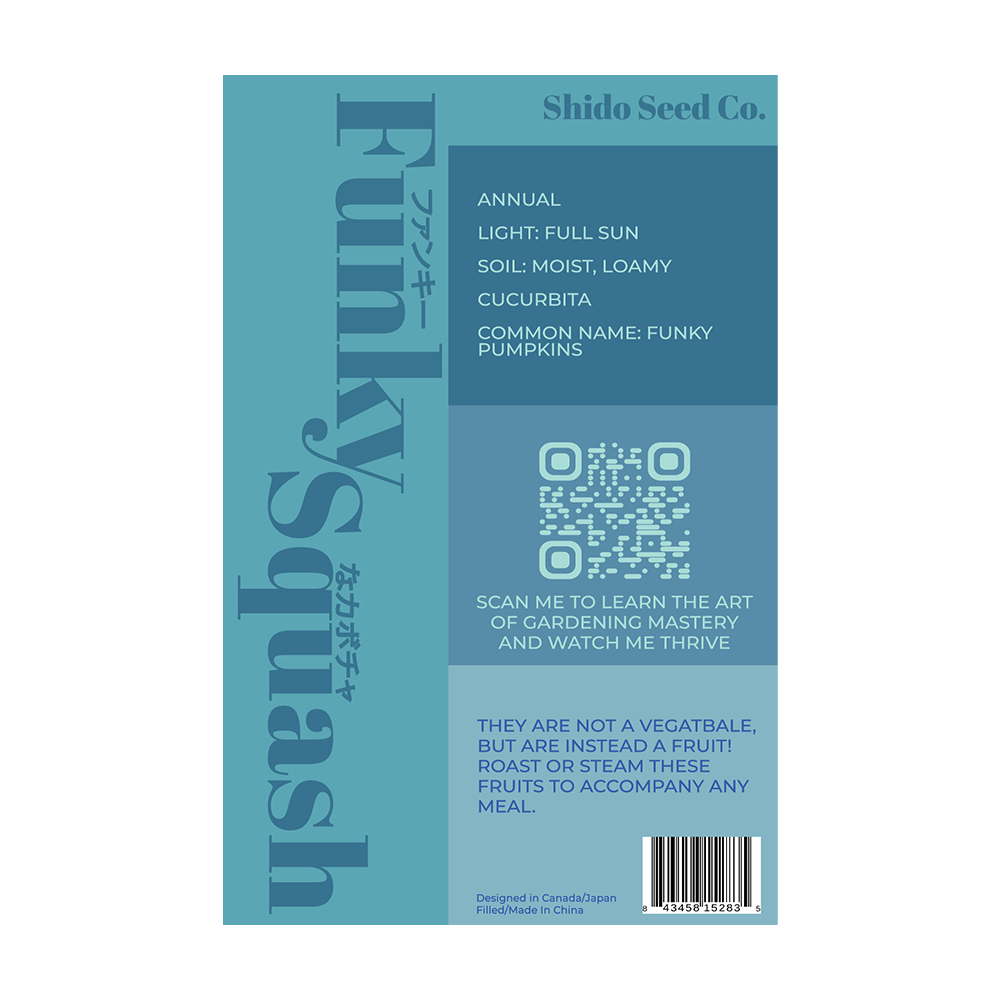 Funky Squash Seeds Packet - Chive UK Wholesale