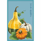 Funky Squash Seeds Packet - Chive UK Wholesale