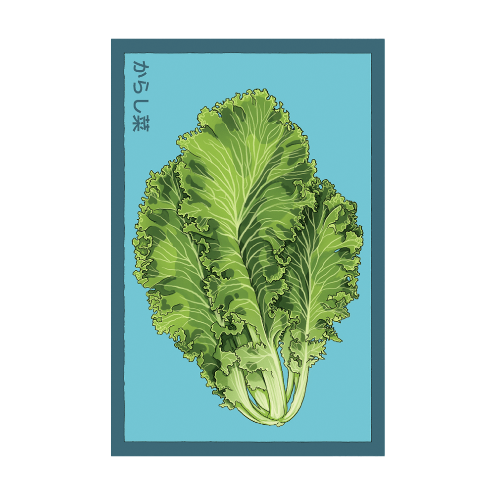 Mustard Greens Vegetable Seeds Packet - Chive UK Wholesale