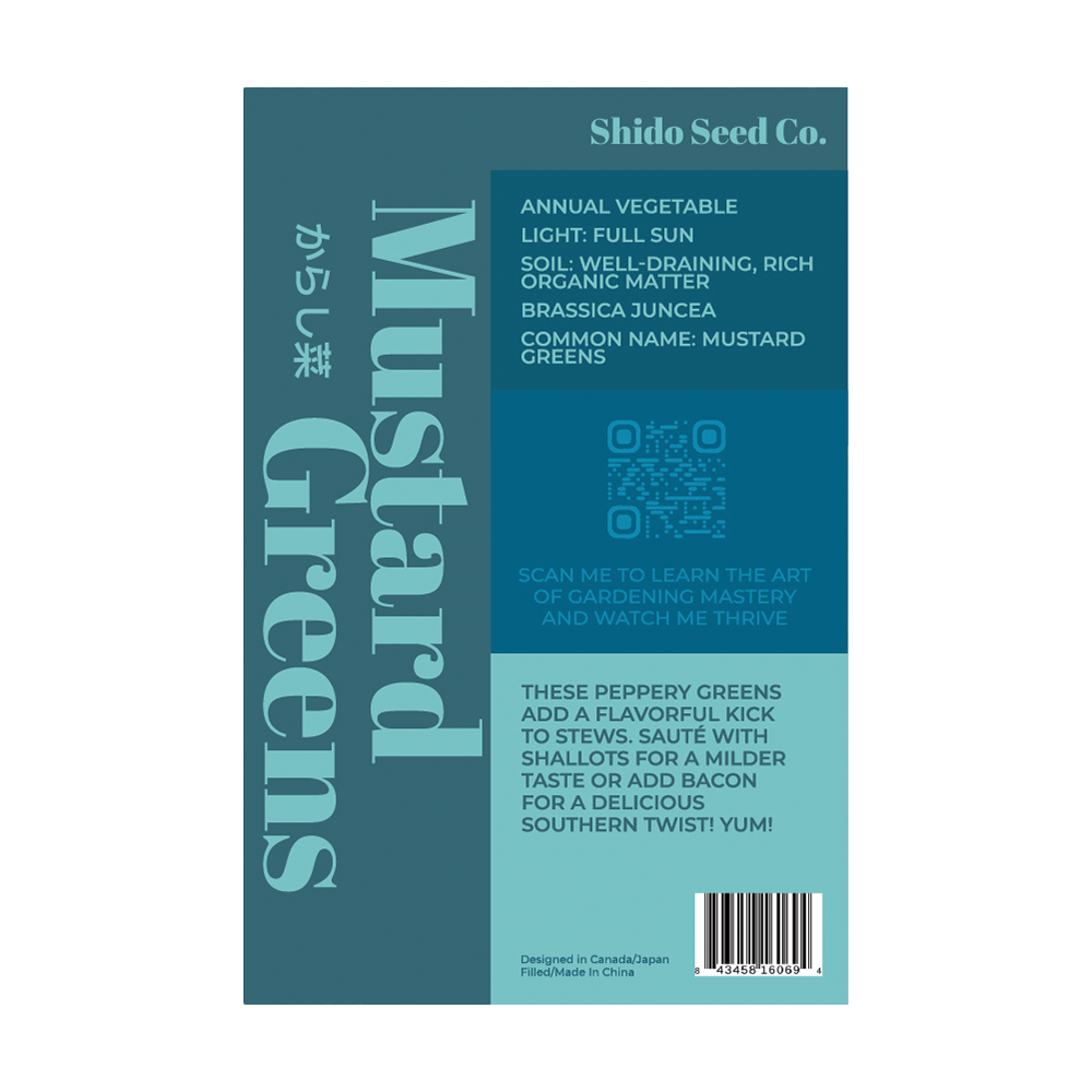 Mustard Greens Vegetable Seeds Packet - Chive UK Wholesale