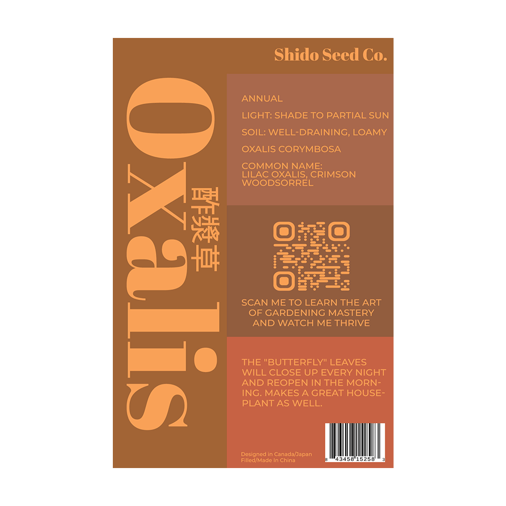 Oxalis Flower Seeds Packet - Chive UK Wholesale