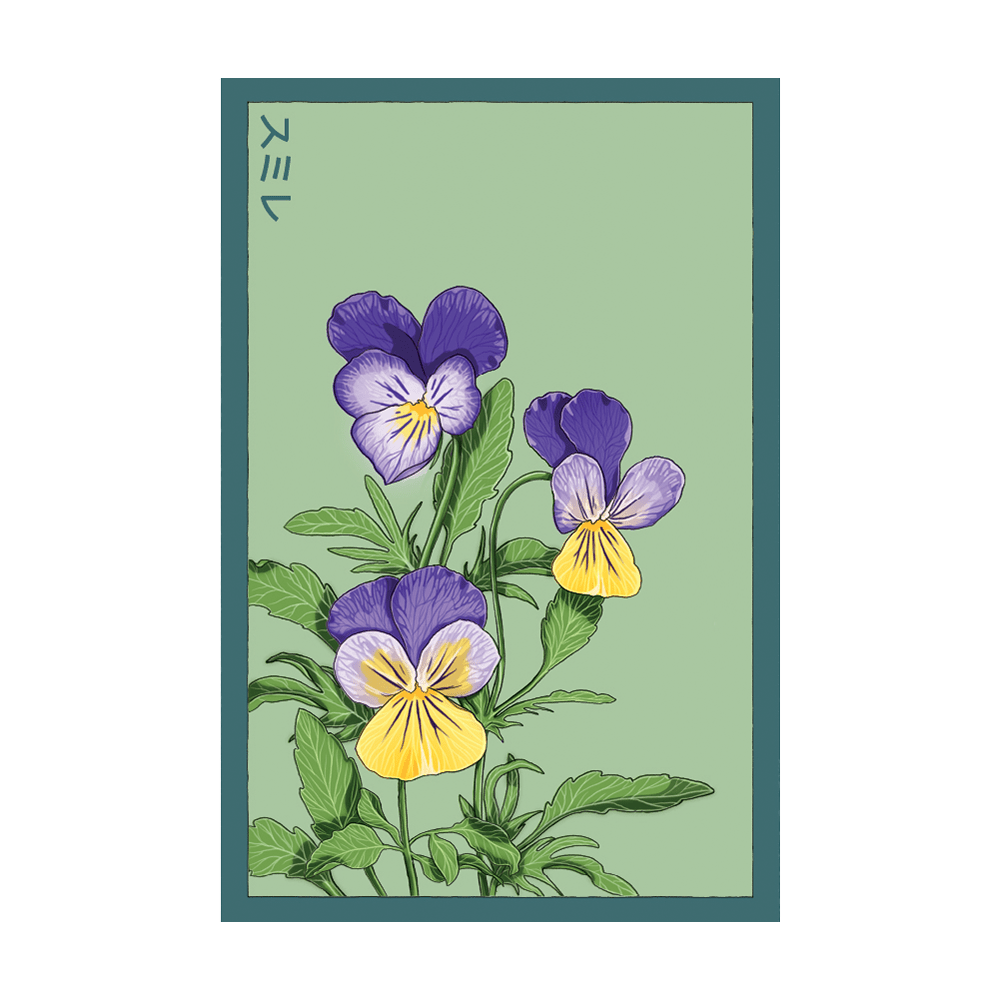 Pansy Flower Seeds Packet - Chive UK Wholesale