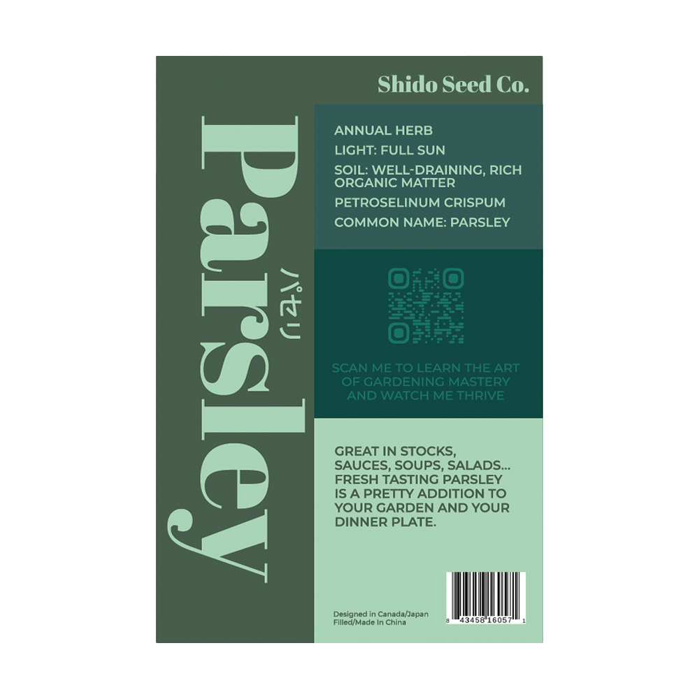 Parsley Herb Seeds Packet - Chive UK Wholesale