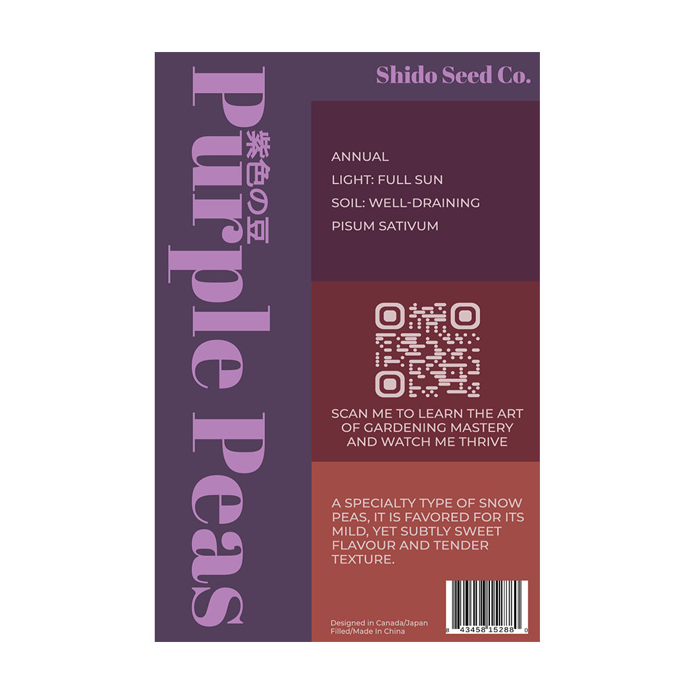 Purple Peas Vegetable Seeds Packet - Chive UK Wholesale