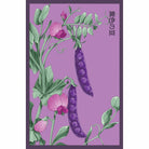 Purple Peas Flower Seeds Packet - Chive UK Wholesale