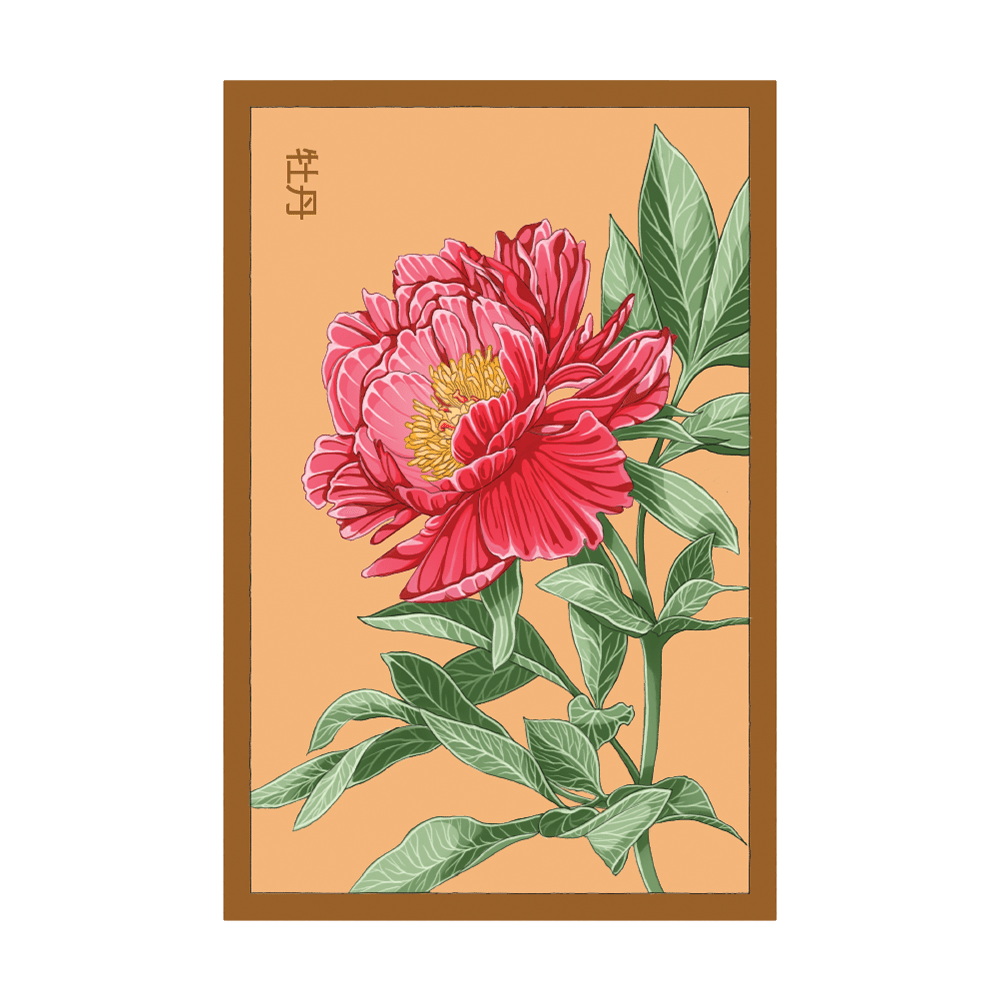 Peony Flower Seeds Packet - Chive UK Wholesale