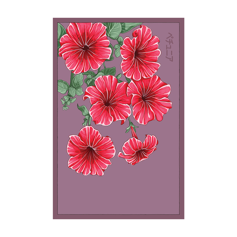 Trailing Petunia Flower Seeds Packet - Chive UK Wholesale