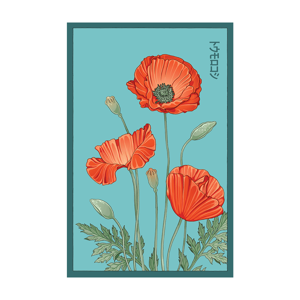 Corn Poppy Flower Seeds Packet - Chive UK Wholesale