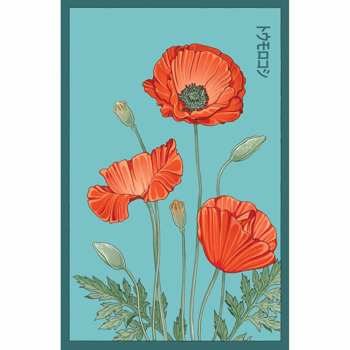 Corn Poppy Flower Seeds Packet - Chive UK Wholesale