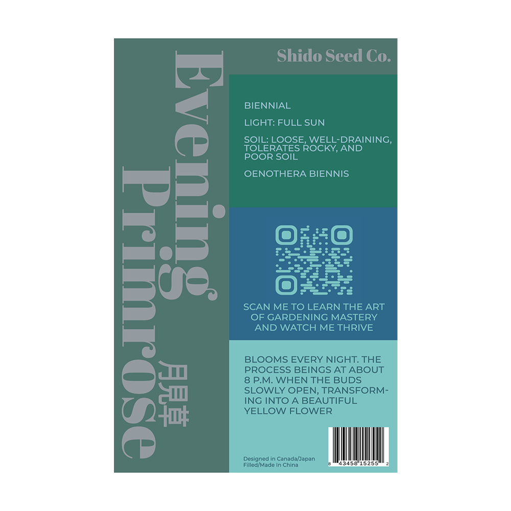 Evening Primrose Flower Seeds Packet - Chive UK Wholesale