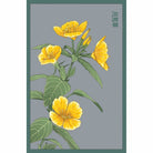 Evening Primrose Flower Seeds Packet - Chive UK Wholesale