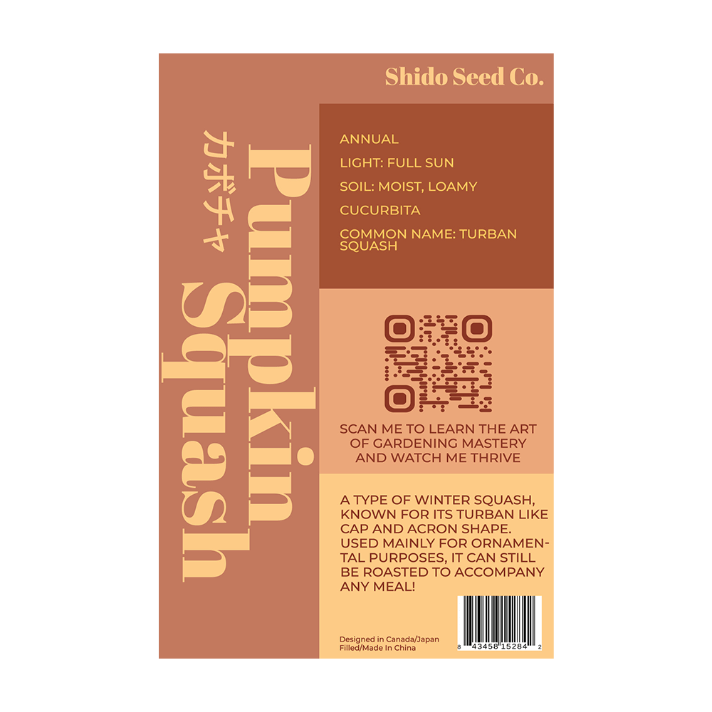 Pumpkin Squash Vegetable Seeds Packet - Chive UK Wholesale