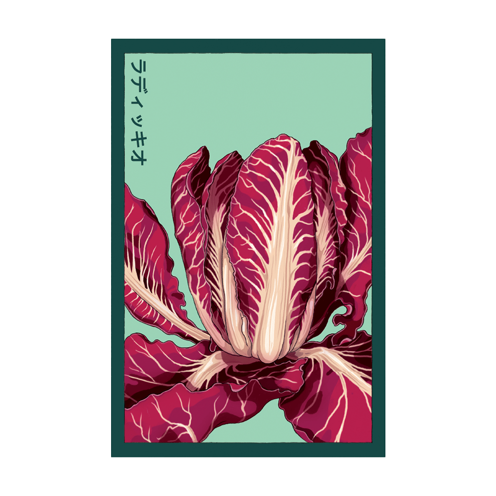 Radicchio Vegetable Seeds Packet - Chive UK Wholesale