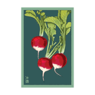 Radish Vegetable Seeds Packet - Chive UK Wholesale