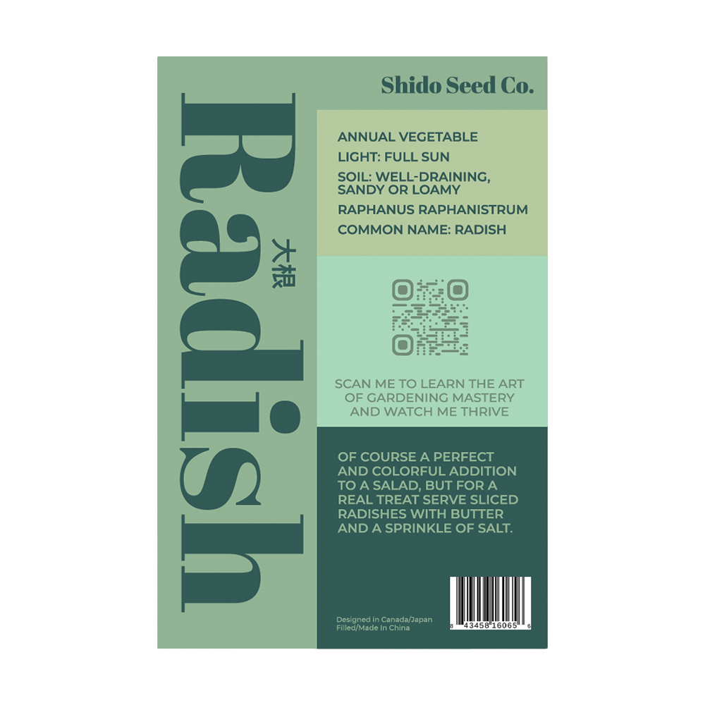 Radish Vegetable Seeds Packet - Chive UK Wholesale