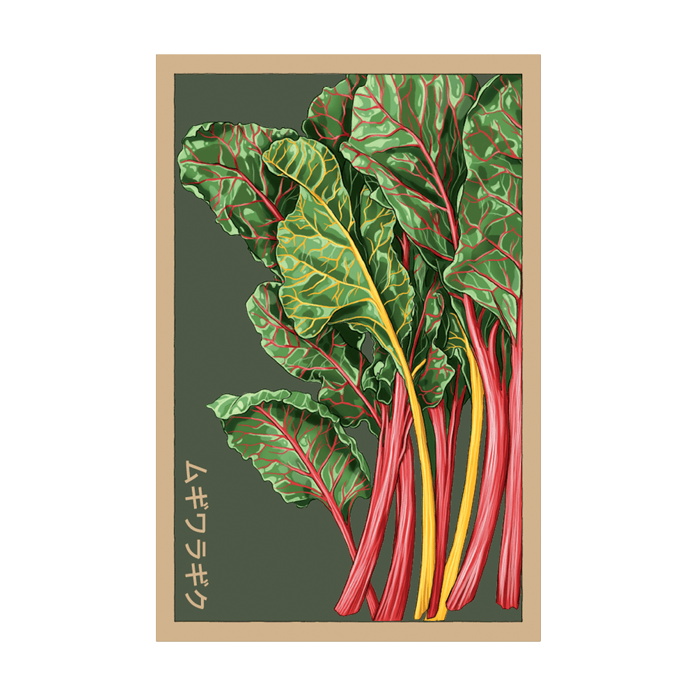 Rainbow Chard Vegetable Seeds Packet - Chive UK Wholesale