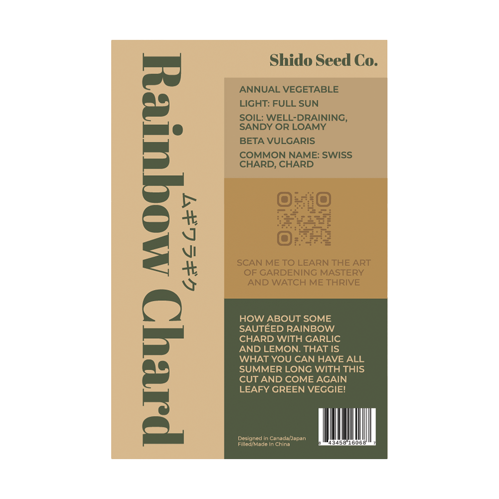 Rainbow Chard Vegetable Seeds Packet - Chive UK Wholesale