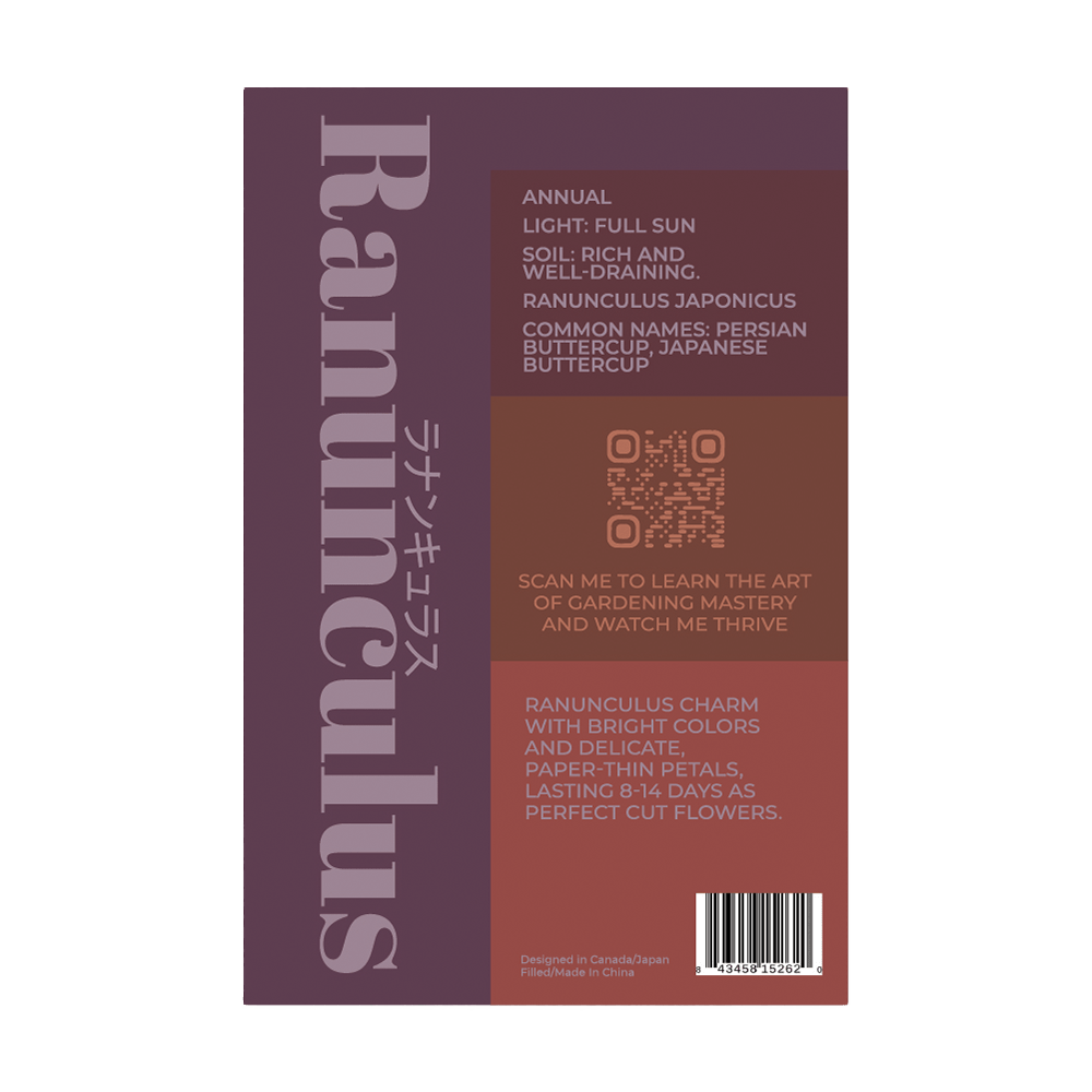 Ranunculus Flower Seeds Packet - Chive UK Wholesale