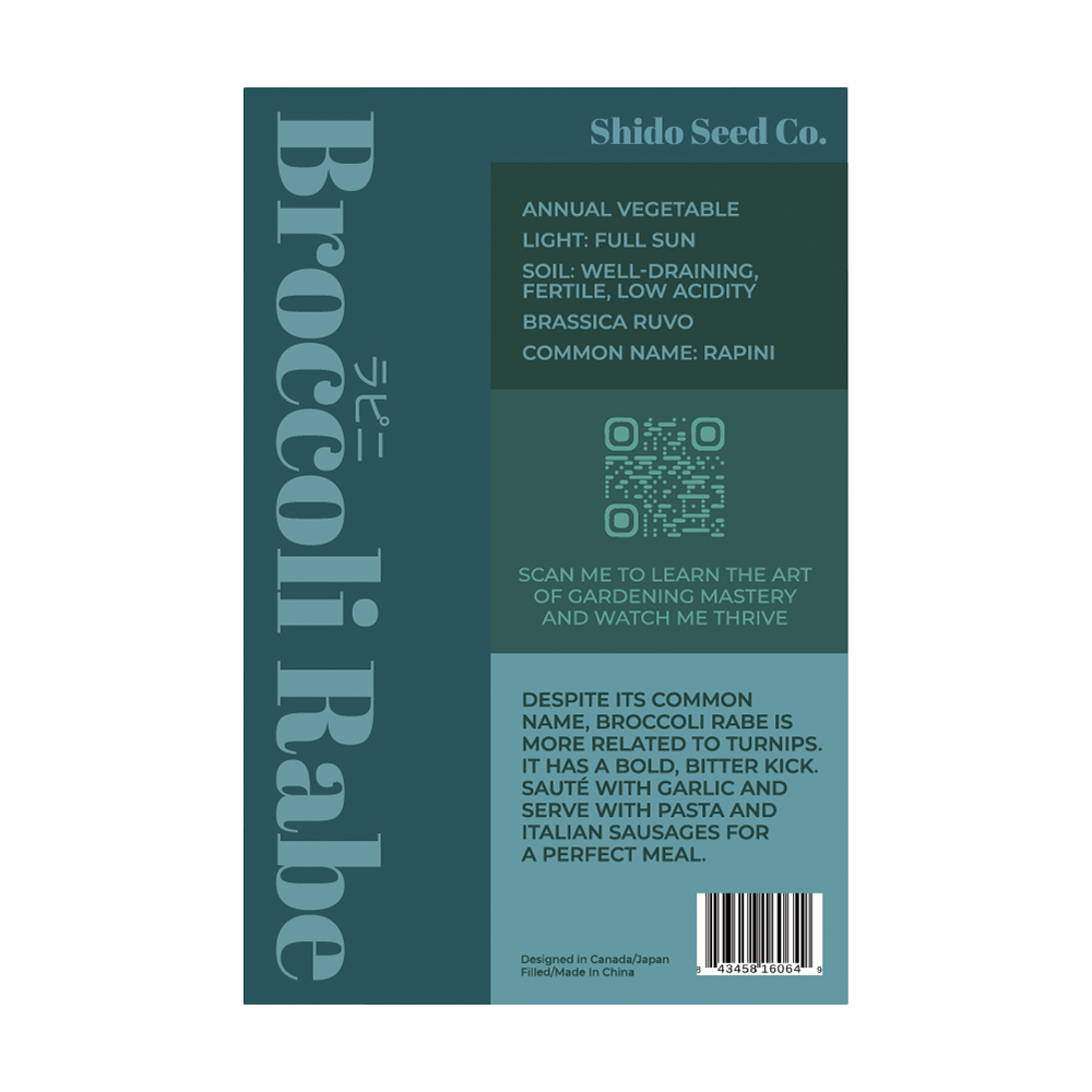 Rapini Vegetable Seeds Packet - Chive UK Wholesale