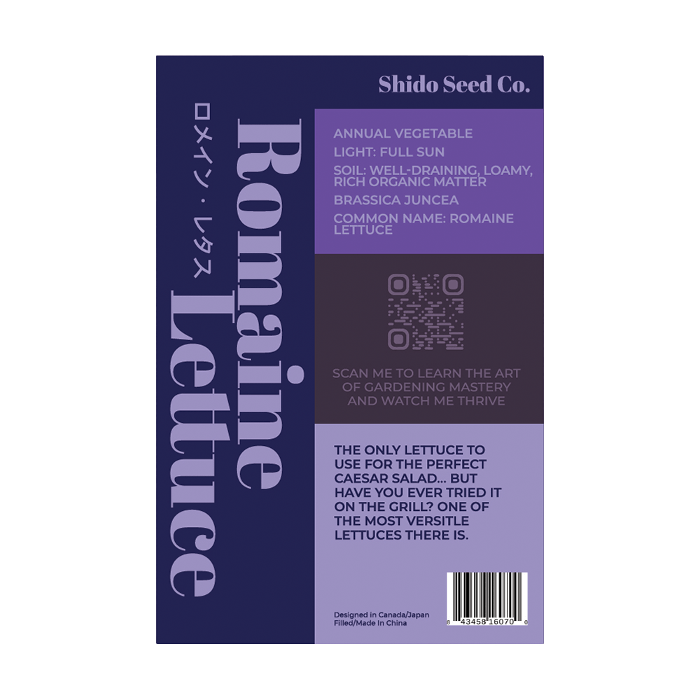 Romaine Lettuce Vegetable Seeds Packet - Chive UK Wholesale