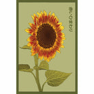 Red Sunflower Flower Seeds Packet - Chive UK Wholesale