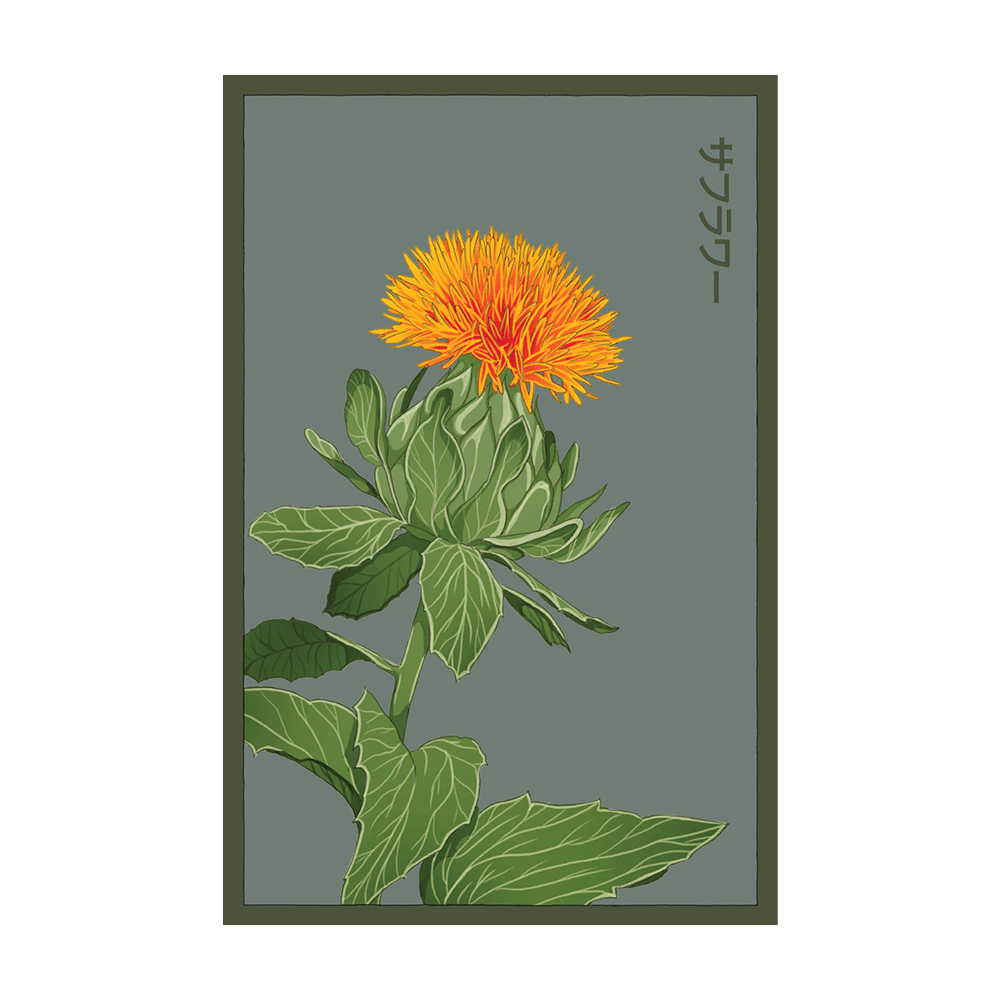 Safflower Flower Seeds Packet - Chive UK Wholesale