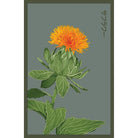 Safflower Flower Seeds Packet - Chive UK Wholesale