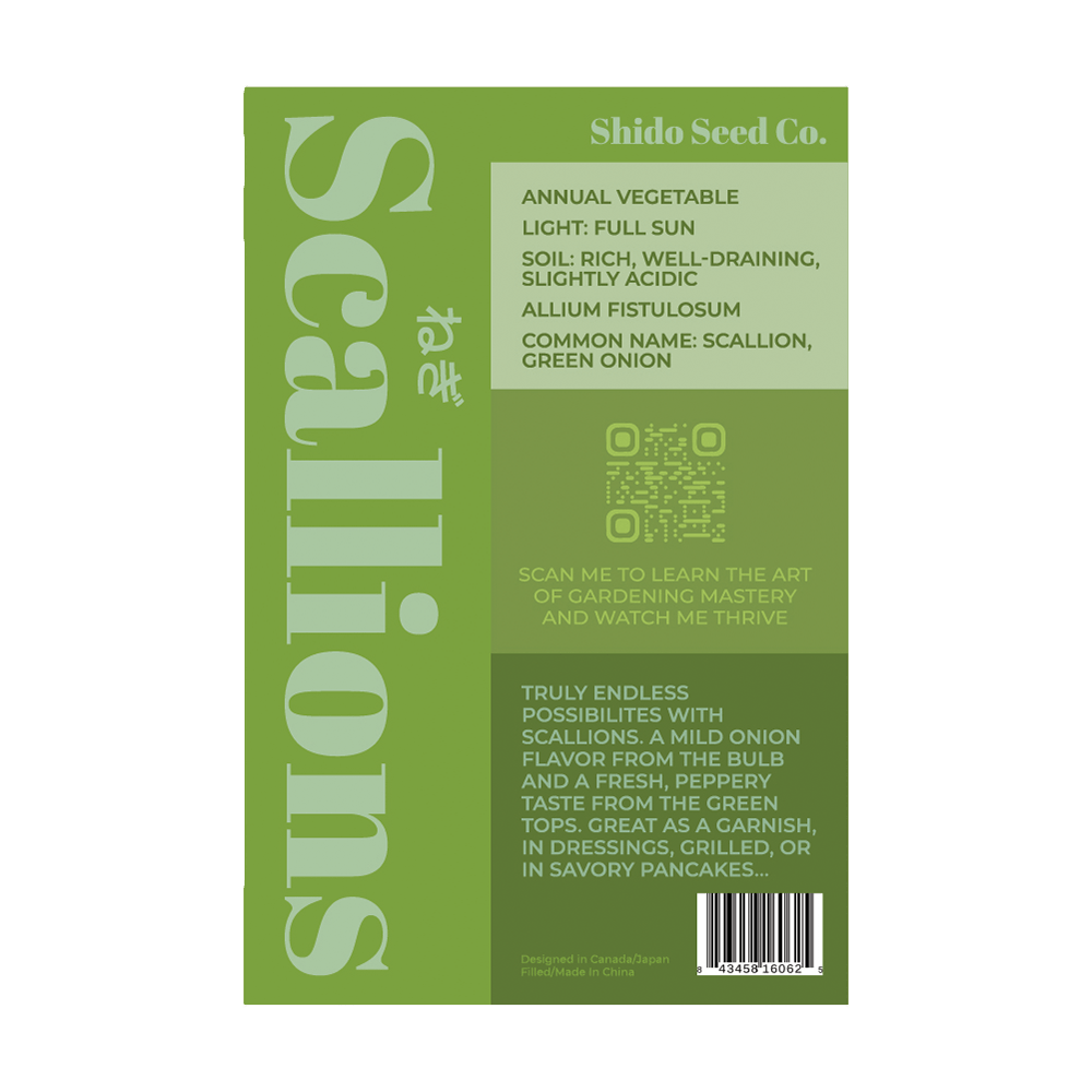 Scallions Vegetable Seeds Packet - Chive UK Wholesale