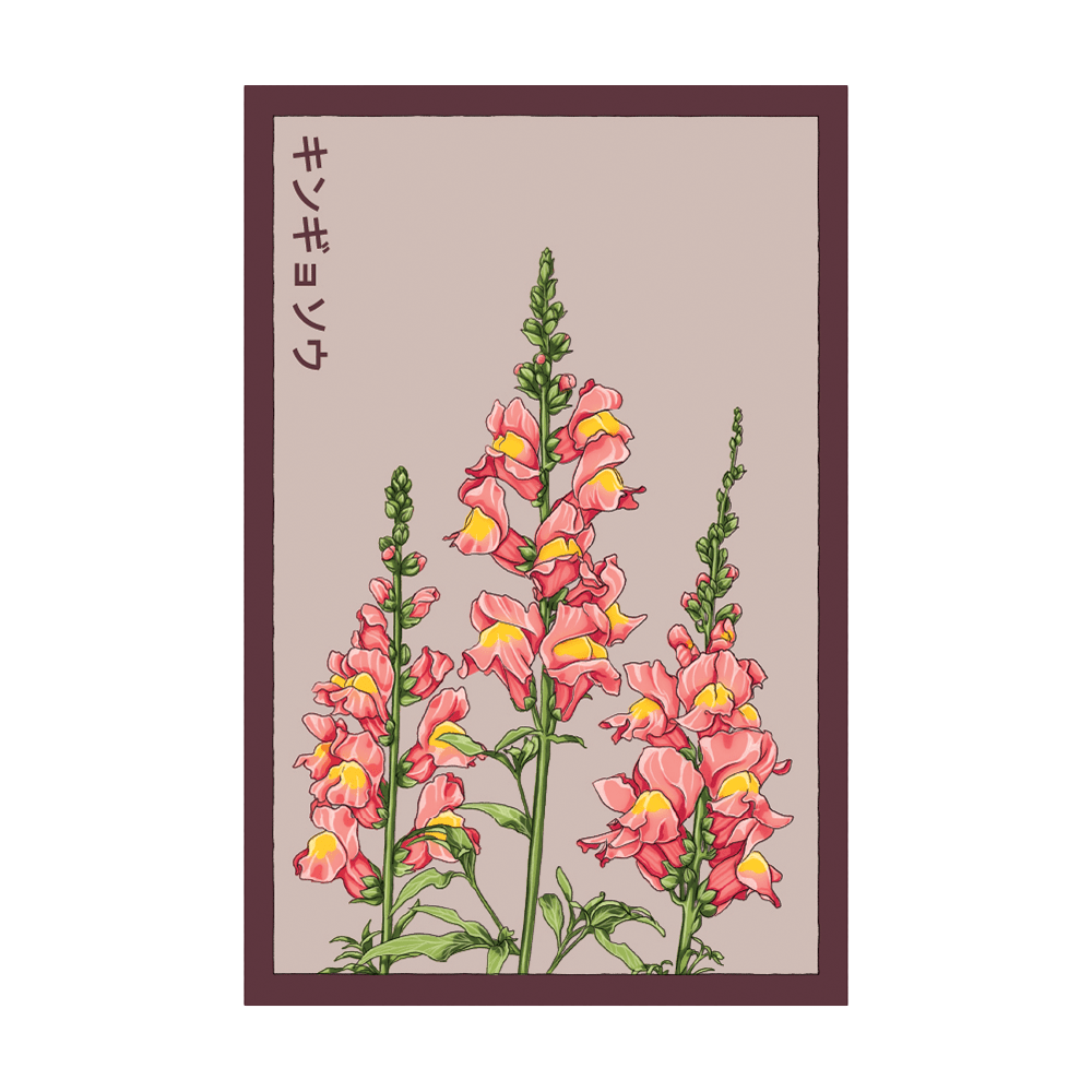 Snapdragon Flower Seeds Packet - Chive UK Wholesale