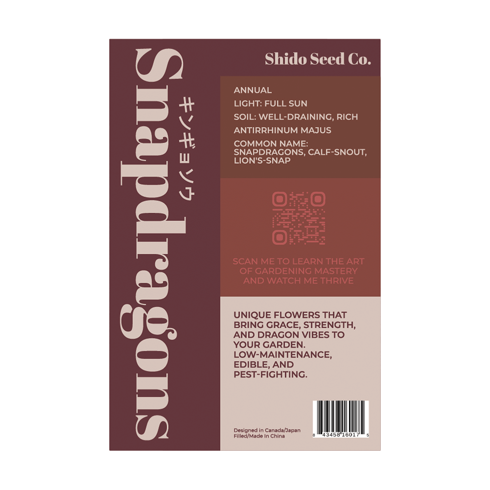 Snapdragon Flower Seeds Packet - Chive UK Wholesale