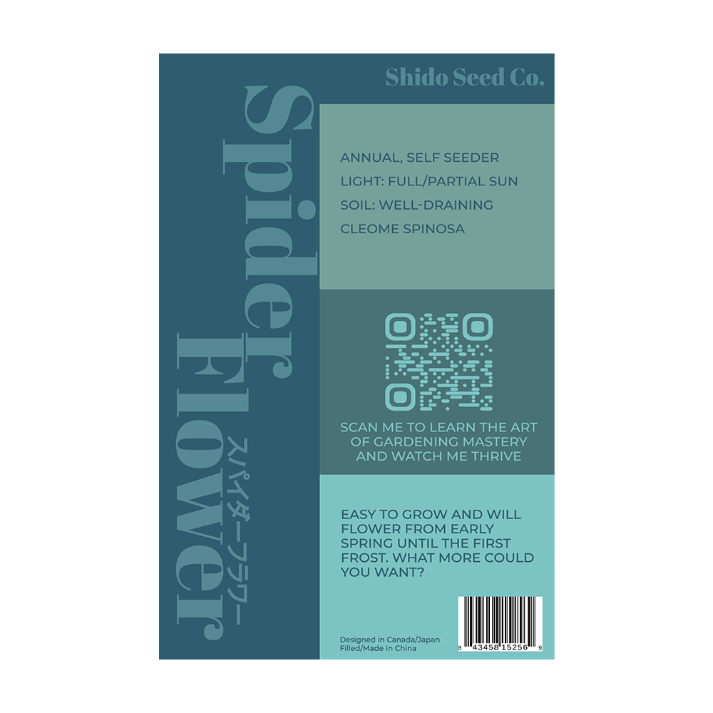 Spiderflower Flower Seeds Packet - Chive UK Wholesale