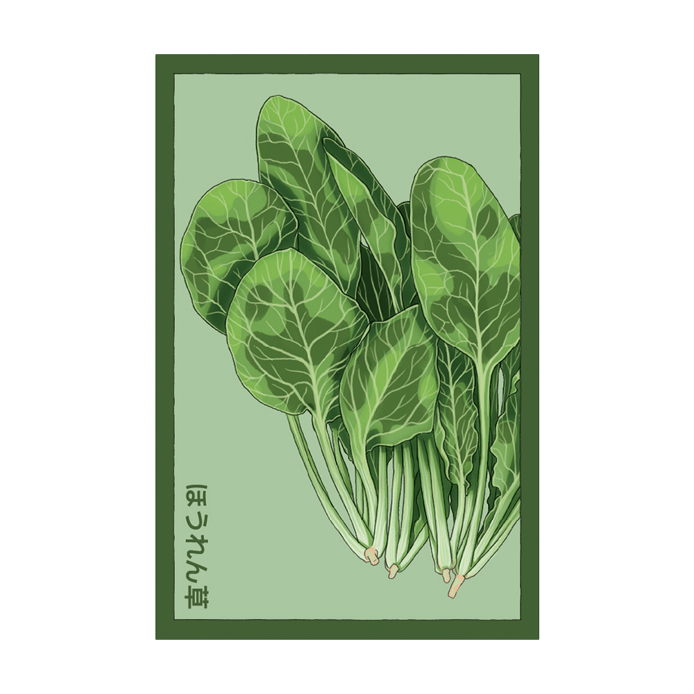 Spinach Vegetable Seeds Packet - Chive UK Wholesale