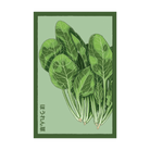 Spinach Vegetable Seeds Packet - Chive UK Wholesale