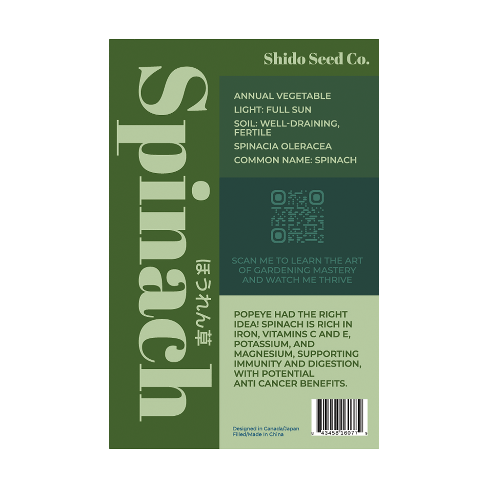 Spinach Vegetable Seeds Packet - Chive UK Wholesale