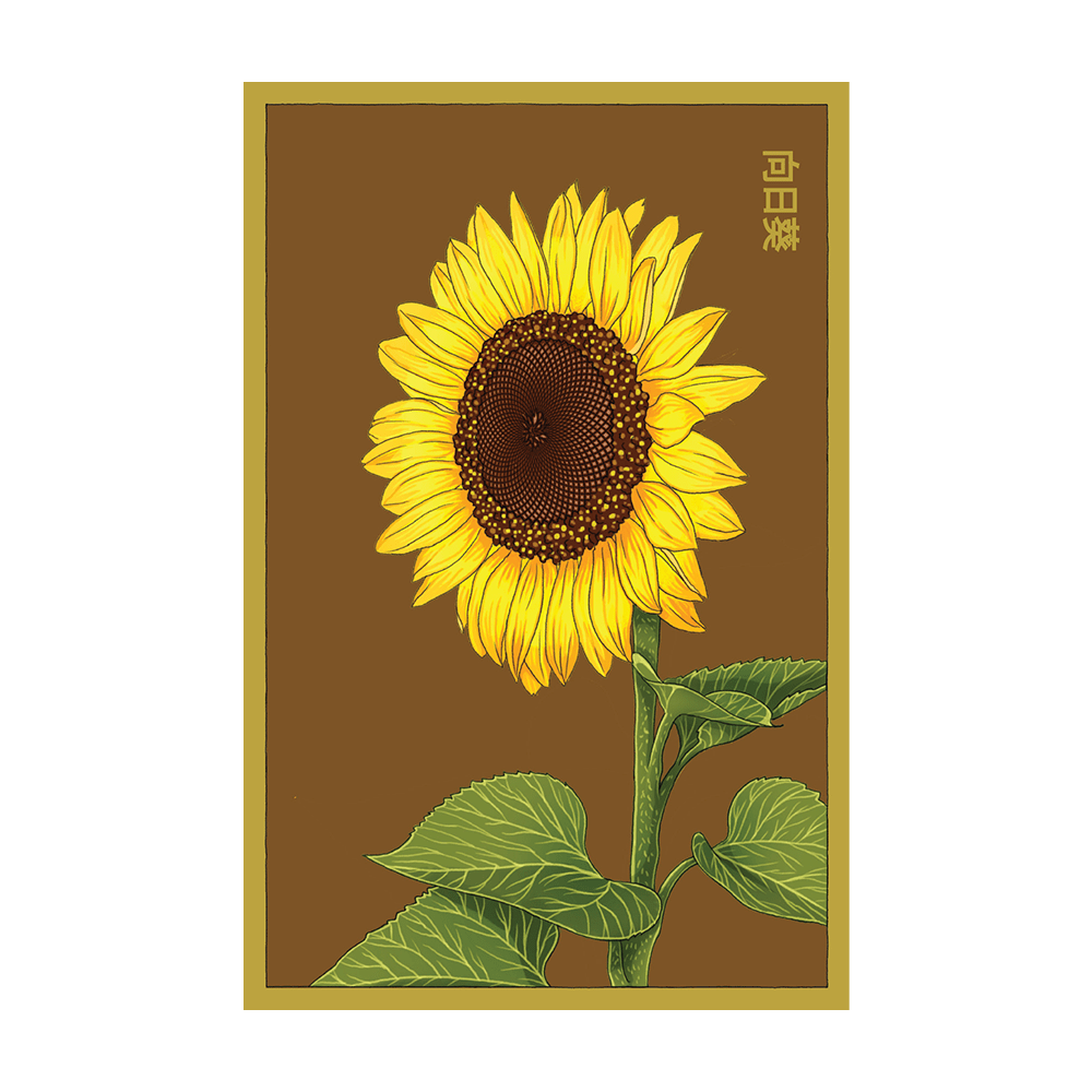 Sunflower Flower Seeds Packet - Chive UK Wholesale