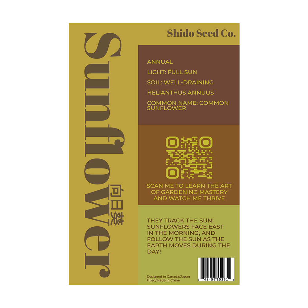 Sunflower Flower Seeds Packet - Chive UK Wholesale