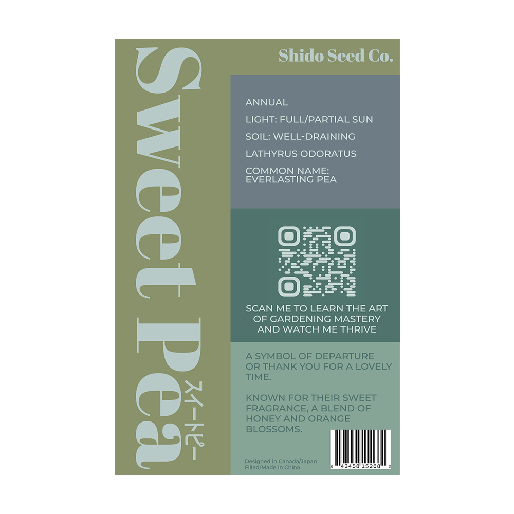 Sweet Pea Flower Seeds Packet - Chive UK Wholesale