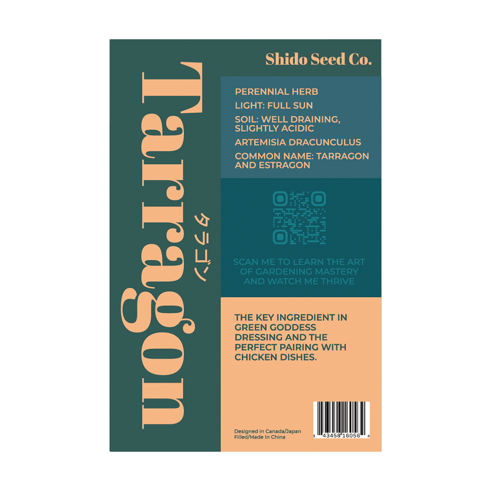 Tarragon Herb Seeds Packet - Chive UK Wholesale