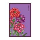 Verbena Flower Seeds Packet - Chive UK Wholesale