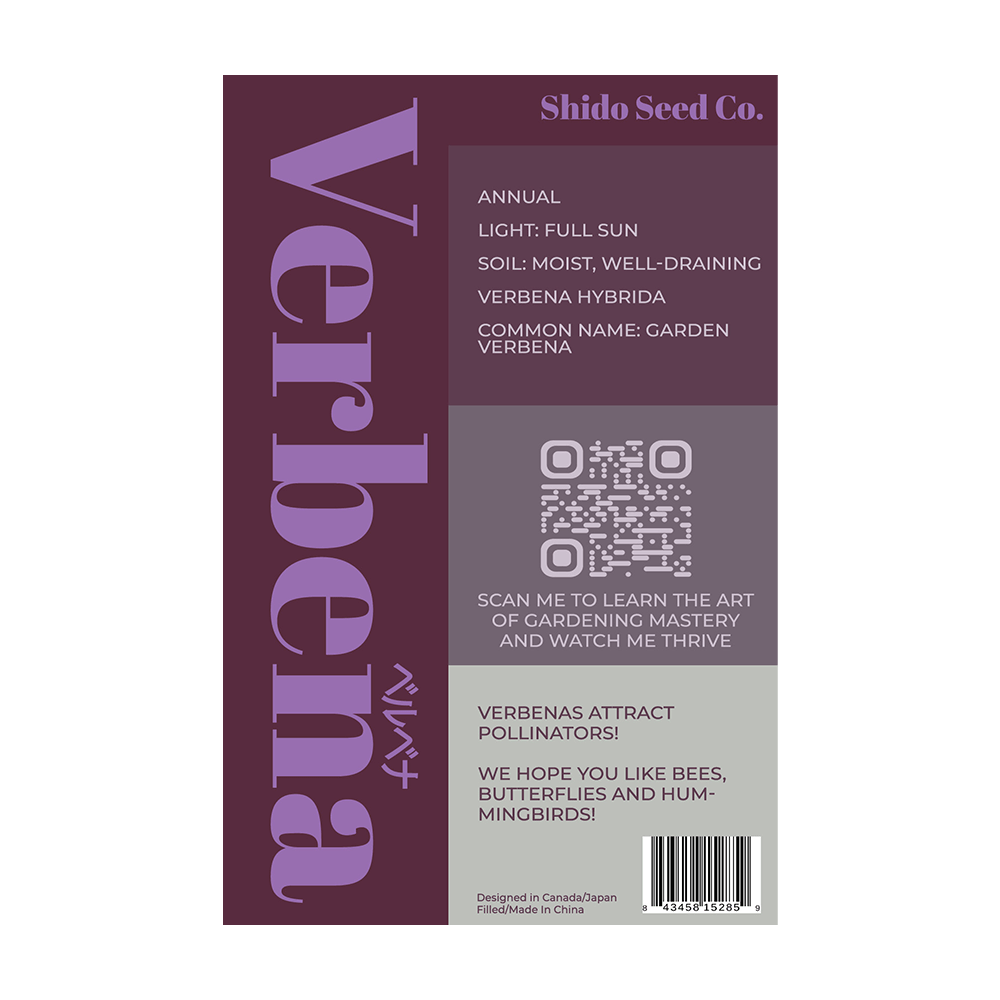 Verbena Flower Seeds Packet - Chive UK Wholesale