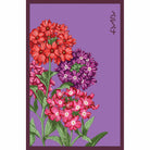 Verbena Flower Seeds Packet - Chive UK Wholesale