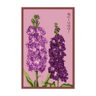 Gilly Flower Seeds Packet - Chive UK Wholesale